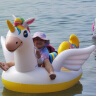 INTEX 57561独角兽充气坐骑 游泳圈成人儿童充气玩具浮排浮床加厚水上 实拍图