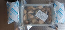 高品質(zhì)新鮮生蠔肉鮮活現(xiàn)剝?nèi)ずｕr即食原漿海蠣子牡蠣肉 4盒【凈重不加水約40個(gè)左右】 手工現(xiàn)剝發(fā)貨 高蛋白活蠔去殼 曬單實(shí)拍圖
