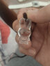 臻萊 白水晶兔子吊墜生肖兔項(xiàng)鏈水晶配飾掛墜 毛衣鏈 小兔尺寸大約35 18 15mm 曬單實(shí)拍圖
