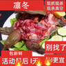 【活鮮】千島湖甲魚自然慢生長(zhǎng) 童子鱉宰殺凈膛現(xiàn)殺老鱉王八 宰殺好凈膛1.7-2斤（1只） 曬單實(shí)拍圖