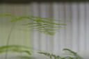 尼康/Nikon AF-S 105mm \/F2.8G 單反防抖微距鏡頭 高清定焦95新二手鏡頭 AF-S 105/F2.8 VR（99新） 曬單實(shí)拍圖