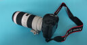 佳能（Canon）EF 70-200mm f/2.8L IS III USM 单反镜头 大三元 变焦 实拍图