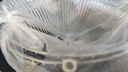 SpeedyIII適用于櫻花油煙機過濾網通用老式吸油網油杯網罩配件抽煙機接油盒 櫻花網罩（兩個裝） 曬單實拍圖