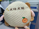艾筱揚可愛(ài)太陽(yáng)花三合一抱枕毯辦公室學(xué)生冰豆豆靠墊午睡枕可印公司LOG 蘋(píng)安喜樂(lè ) 45厘米【抱枕款無(wú)毯子】 曬單實(shí)拍圖