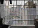 九千谷阳台防护网 封窗网格围栏网加厚耐防晒窗户 50cm宽0.8孔5m长9943 实拍图