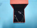 豐澤西（Fzx jewellery） 925銀吊墜項(xiàng)鏈女銀蘋(píng)果吊墜銀飾品銀吊墜送女友禮物 圣誕節(jié)禮物 蘋(píng)果吊墜+配鏈45cm 曬單實(shí)拍圖