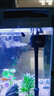 美之海魚(yú)缸客廳家用小型長(zhǎng)方形桌面魚(yú)缸水族箱懶人免換水生態(tài)上過(guò)濾魚(yú)缸 63*34*51cm 下單默認(rèn)發(fā)白色 曬單實(shí)拍圖