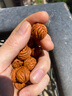 包漿打底秦嶺龍紋桃核小尺寸小籽 野長(cháng)原料散籽霸王龍文玩手串男 16-17mm30顆包漿打孔 曬單實(shí)拍圖