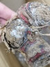 潤味來(lái)潮汕南姜新鮮野生山姜 高良姜生姜頭火鍋鹵味去膻提味調料南姜 2斤 曬單實(shí)拍圖