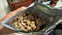 壽禾 大蠶豆種子種籽蘭花豆北斗七星四季架豆秋冬季蔬菜籽 北斗七星蠶豆種子500g裝 曬單實(shí)拍圖