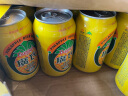 广氏菠萝啤330ml*24罐量版装果啤麦芽菠萝味水果饮料整箱 实拍图