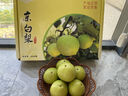 南步正宗北京門(mén)頭溝京白梨 北京特產(chǎn)軍莊鎮東山村京西貢梨新鮮水果 5斤 中果【禮盒裝】 曬單實(shí)拍圖