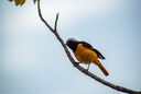 尼康/Nikon 70-300/4.5-5.6E VR防抖全畫(huà)幅遠(yuǎn)攝長(zhǎng)焦變焦鏡頭 二手單反鏡頭95新 AF-S 80-400/F4.5-5.6G VR  95新 曬單實(shí)拍圖