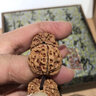 今夕 尼泊爾金剛菩提手串五瓣爆肉原籽5瓣紅皮黃皮矮樁雙龍紋收藏級佛珠念珠手釧男文玩禮品飾品【把玩級】 精品雙龍紋 爆肉18-19mm13顆+1顆備籽 曬單實(shí)拍圖