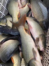 川澤升級新關(guān)東魚(yú)鉤綁好子線(xiàn)雙鉤成品全套防纏繞套裝鯽鯉大物鰱鳙鉤 60cm 【鉤4線(xiàn)3.0+鉤5線(xiàn)4.0】 升級版新關(guān)東20付盒裝 曬單實(shí)拍圖