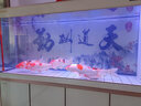 閩江（minjiang）魚(yú)缸水族箱客廳免換水生態(tài)造景家用超白玻璃金魚(yú)缸生態(tài)缸水缸 典雅白色（鋁合金框架+塑鋼） 長(cháng)180x寬51x高155cm（超白玻璃） 曬單實(shí)拍圖