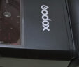 神牛（Godox） 闪光灯TT350机顶灯微单相机高速同步外拍热靴摄影灯 TT350（需购买5号电池） 索尼 实拍图