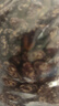 貴州花紅豆精選農家花腰豆花豆新豆四季豆新鮮蕓豆原生態(tài)散裝豆米 5斤 曬單實拍圖