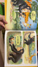 【當(dāng)當(dāng)正版童書】信誼世界精選圖畫書 兒童繪本 抱抱(0-3歲) 曬單實拍圖