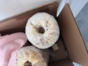 禹知蔬蘑菇种植包平菇菌包家庭种香菇菌种菌菇种子椴木棒可食用菌种包 灰平菇种植大菌包3个约6斤 实拍图