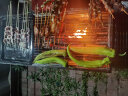尚烤佳（Suncojia） 烧烤炉 不锈钢烧烤架 户外便携木炭烤炉 家用木碳烤肉架 大号 实拍图