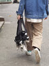 wakytu狗狗胸背帶貓咪中小型犬牽引繩背心式狗繩胸前背包 升級(jí)版-黑色【可調(diào)節(jié)長(zhǎng)度/體型】 M碼【適用于6-9斤】 曬單實(shí)拍圖