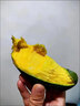 栩季（XUJI）桂七芒廣西百色田東桂七香芒青皮芒芒果當(dāng)季新鮮孕婦水果整箱 桂七芒 3斤【精選裝】 曬單實拍圖