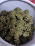 福美柒三七花頭茬新花 云南三七花茶 精選四年花 特級文山三七花茶250克 田七花泡茶的功效500克 精選當(dāng)季新三七花【1000克】 曬單實(shí)拍圖