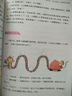 小學生作文寫作 跟著名著學寫作（全三冊）全國卓越寫作名師張祖慶老師的作文內(nèi)訓課 小學作文 綠色環(huán)保印刷 曬單實拍圖