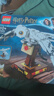 樂高（LEGO）哈利波特 電影周邊兒童拼搭積木玩具家居飾品生日禮物 樂高海德薇貓頭鷹75979 曬單實拍圖