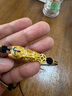 中國黃金（CHINA GOLD）足金999麻花貔貅男款黃金手鏈送男友老公爸爸生日禮物含繩 凈金重約 4.9g 曬單實(shí)拍圖