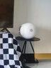DEVIALET Phantom I 法國(guó)帝瓦雷藍(lán)牙音響家用影院電視音箱重低音高保真 立柱支架黑 曬單實(shí)拍圖