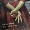 Vivian Maier: The Color Work 维维安·迈尔:彩色作品 英文原版 实拍图