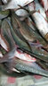 寵寶它漁夫寶魚(yú)用安定劑MS222水產(chǎn)麻魚(yú)暈魚(yú)安定魚(yú)運輸魚(yú)【觀(guān)賞魚(yú)禁用】 1000g(特純) 曬單實(shí)拍圖