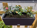 柏登居種植箱陽(yáng)臺種菜盆懶人自吸水長(cháng)方形花盆懸掛欄桿掛式花箱長(cháng)型神器 細條咖啡長(cháng)方形+護欄掛鉤（1~13cm）+禮品 大  樹(shù)脂 曬單實(shí)拍圖