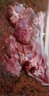 牛家紀新鮮鹿肉 現殺鹿肉農家散養正宗鹿腿肉 東北特產(chǎn)鹿肉鹿排新鮮 2斤梅花鹿腿肉 曬單實(shí)拍圖