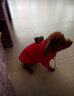 寵物衣服秋冬新款泰迪貓咪狗衣服小型犬法斗泰迪吉娃娃柯基衣服中型抓絨衛衣卡通服飾狗貓衣服變身裝寵物用品 蘋(píng)果衛衣(抽繩款) XS(適合2-4斤) 曬單實(shí)拍圖