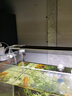 森森（SUNSUN） 魚缸燈LED燈 水族箱照明燈 魚缸夾燈 草缸燈  水族照明設(shè)備 ADP300C配38-42cm魚缸4.5W 曬單實(shí)拍圖