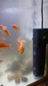 森森魚缸過濾器內(nèi)置三合一凈水魚馬桶循環(huán)系統(tǒng)小型增氧過濾水泵一體 升級款6W 360度全面過濾器 曬單實拍圖