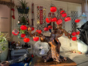 掬涵 仿真柿子果實(shí)樹(shù)枝花藝漿果柿柿如意擺件插花客廳裝飾品擺設(shè)新年 90cm紅柿子（7個(gè)果）不含花器 曬單實(shí)拍圖