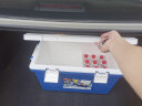 爱丽思（IRIS）CL-45车载保温冷藏箱 户外居家多功能冷暖箱 蓝色45升（含冰袋） 晒单实拍图