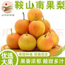 鮮姿遼寧南國(guó)梨南果梨香水梨醉梨酒香梨禮盒東北特產(chǎn)水果 4.5-4.8斤中果約30枚家庭裝 曬單實(shí)拍圖