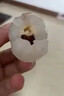 桃西村海南新鮮妃子笑荔枝特產(chǎn)新鮮荔枝生鮮水果清甜多汁應(yīng)季鮮果 10斤 曬單實拍圖