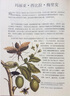 植物大發(fā)現(xiàn) 黃金時(shí)代的圖譜藝術(shù)（異步圖書出品） 曬單實(shí)拍圖