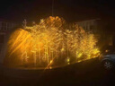 晚晚射樹(shù)燈七彩照樹(shù)燈夜景燈戶(hù)外防水led綠化燈花園庭院裝飾造景燈 【50W暖光】需白紅藍粉紫請備注 曬單實(shí)拍圖