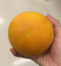 青尊園南非紅心西柚水果禮盒大果孕婦柚子進(jìn)口葡萄柚新鮮鮮果 5斤 精選裝 曬單實(shí)拍圖