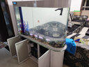 歐寶魚缸水族箱客廳大型家用生態(tài)玻璃水族箱金魚缸屏風(fēng)玄關(guān) 1.38米長(zhǎng)底濾 曬單實(shí)拍圖