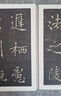 歷代碑帖經(jīng)典單字放大本：唐 褚遂良雁塔圣教序 曬單實(shí)拍圖