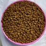 巡山令巡山令寵物零食狗狗磨牙棒牛骨頭幼犬潔齒棒小中大型犬狗磨牙骨頭 【真羊骨】羊扇骨±70g 大號(hào) 曬單實(shí)拍圖