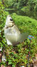 美克杰浮珠對撞醒目豆魚(yú)漂小配件彩色泡沫加粗浮球靈敏浮子釣魚(yú)用品漁具 5對【5紅頂珠+5黃滑珠】盒裝 曬單實(shí)拍圖